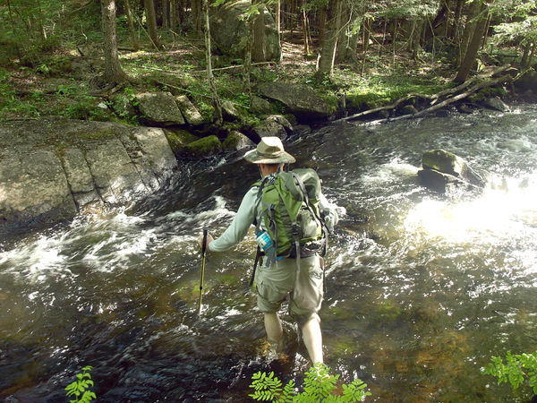 field and stream trekking pole